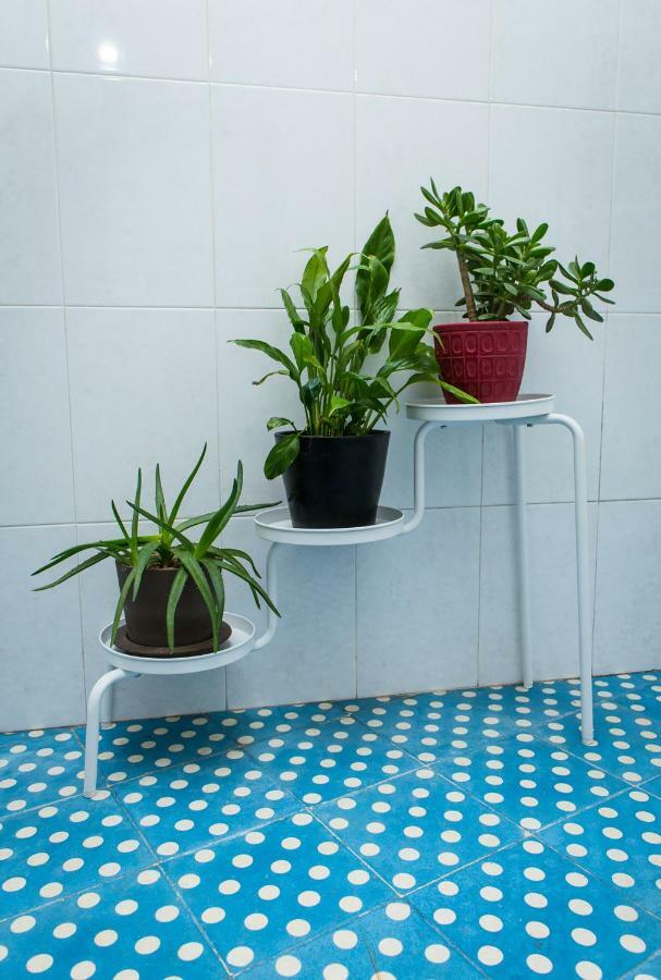 Appartement Downtown Shelter - Casa da Praça à Aveiro Extérieur photo